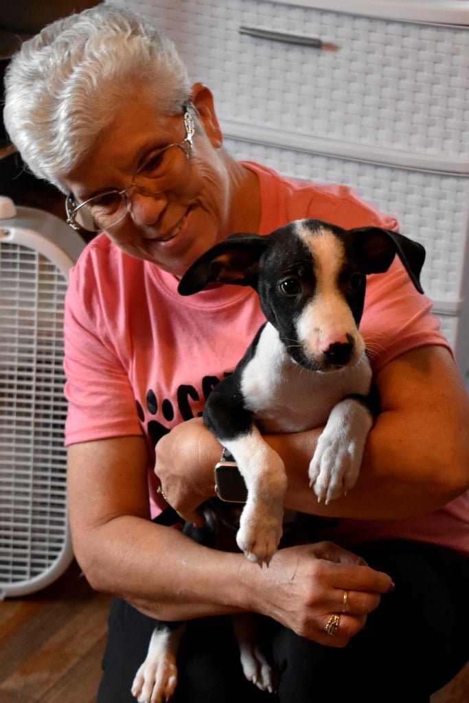 Kathie Papasso was known as the puppy whisperer to her fellow volunteers.